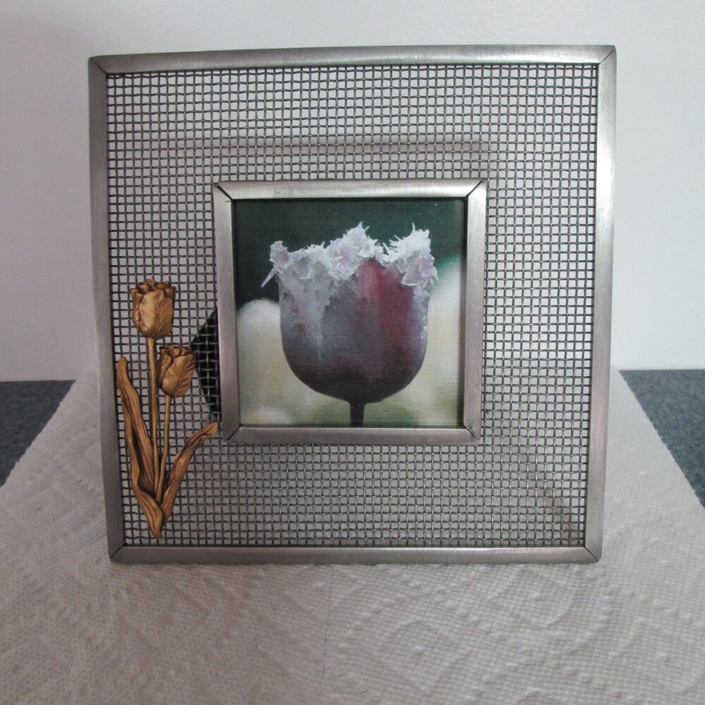 Tulip Metal Mesh Frame